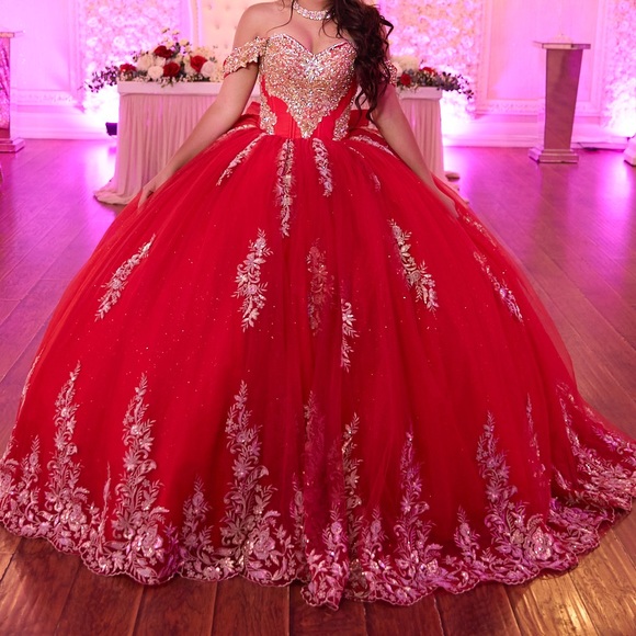 Custom made quinceañera dress - Picture 4 of 5